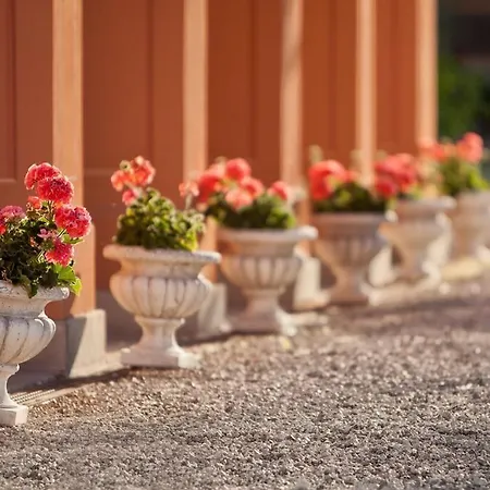 Couette-café Bb Principessa Di Savoia 3*